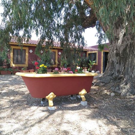 Casa Del Procurador Guest House Las Virtudes Ngoại thất bức ảnh
