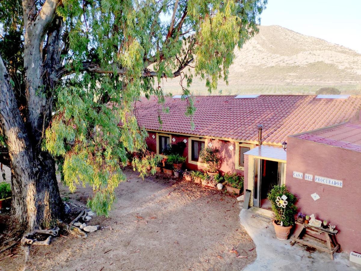 Casa Del Procurador Guest House Las Virtudes Ngoại thất bức ảnh