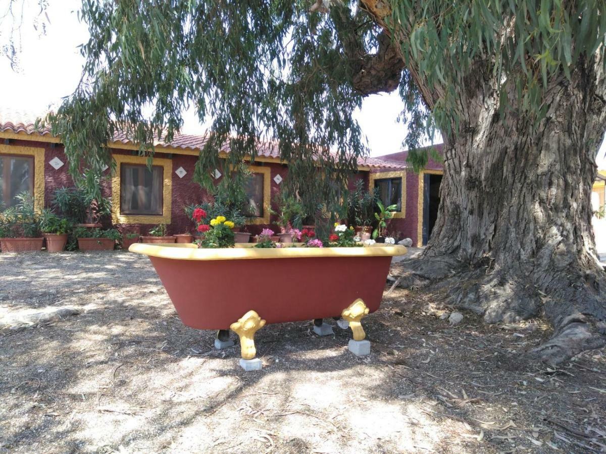 Casa Del Procurador Guest House Las Virtudes Ngoại thất bức ảnh